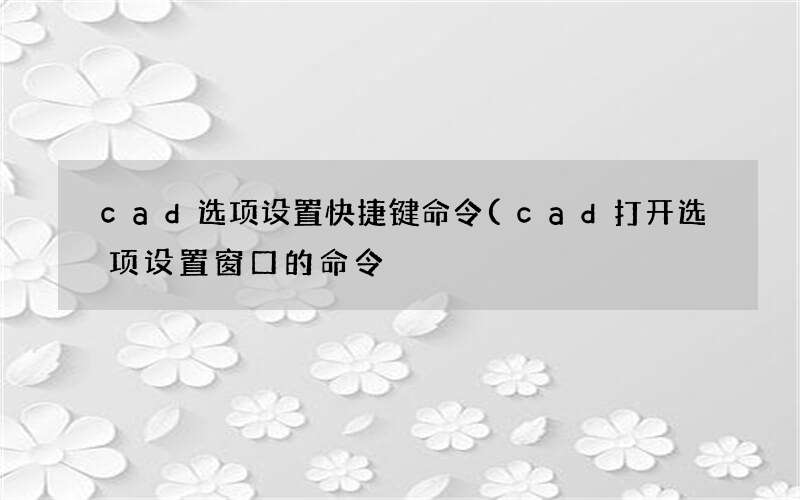 cad打开选项设置窗口的命令 cad选项设置快捷键命令