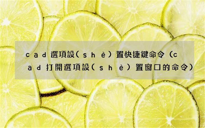 cad打開選項設(shè)置窗口的命令 cad選項設(shè)置快捷鍵命令