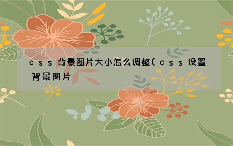 css设置背景图片 css背景图片大小怎么调整