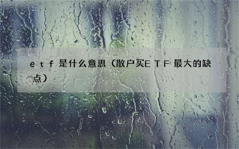 散户买ETF最大的缺点 etf是什么意思
