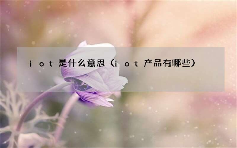 iot产品有哪些 iot是什么意思