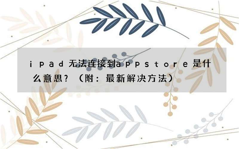 附：最新解决方法 ipad无法连接到app store是什么意思？