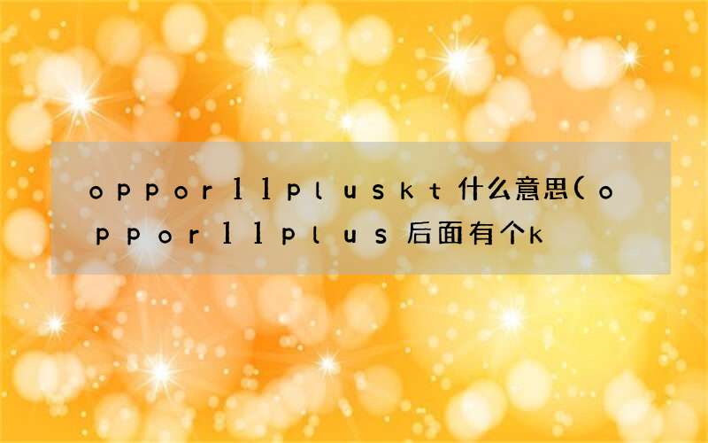 oppor11plus后面有个k oppor11pluskt什么意思