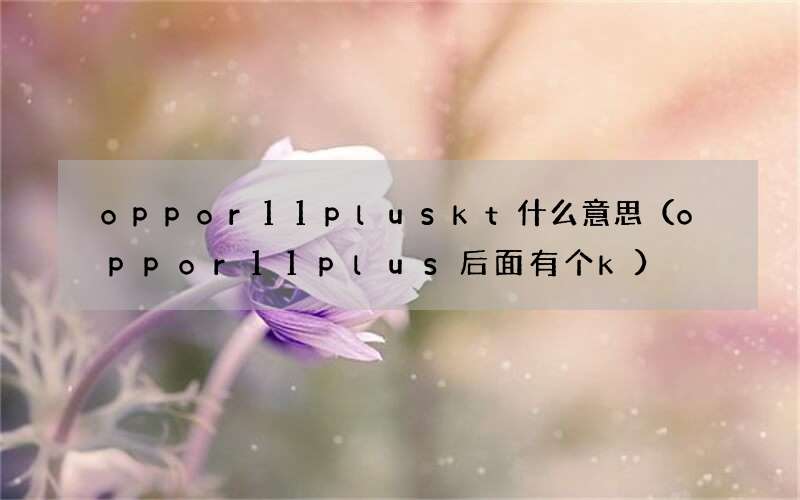 oppor11plus后面有个k oppor11pluskt什么意思