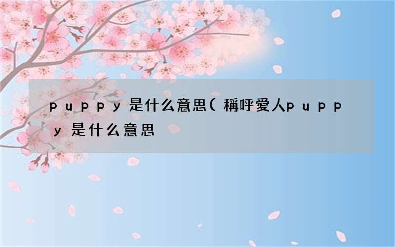 稱呼愛人puppy是什么意思 puppy是什么意思