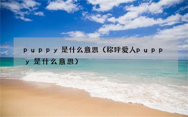称呼爱人puppy是什么意思 puppy是什么意思