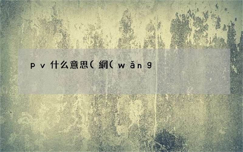 網(wǎng)絡(luò)語(yǔ)pv是什么意思 pv什么意思