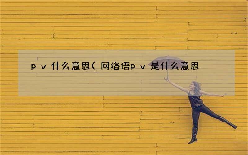 网络语pv是什么意思 pv什么意思