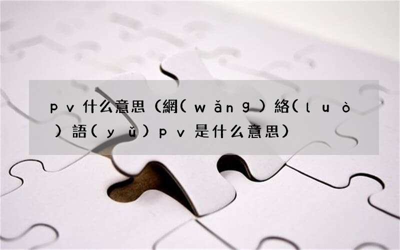 網(wǎng)絡(luò)語(yǔ)pv是什么意思 pv什么意思