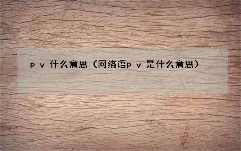 网络语pv是什么意思 pv什么意思
