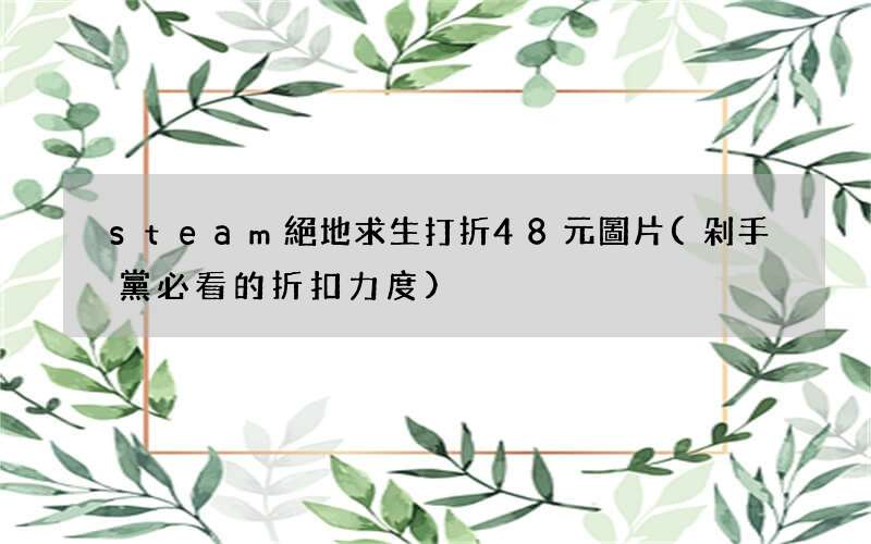 剁手黨必看的折扣力度 steam絕地求生打折48元圖片