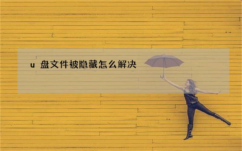 u盘文件被隐藏怎么解决