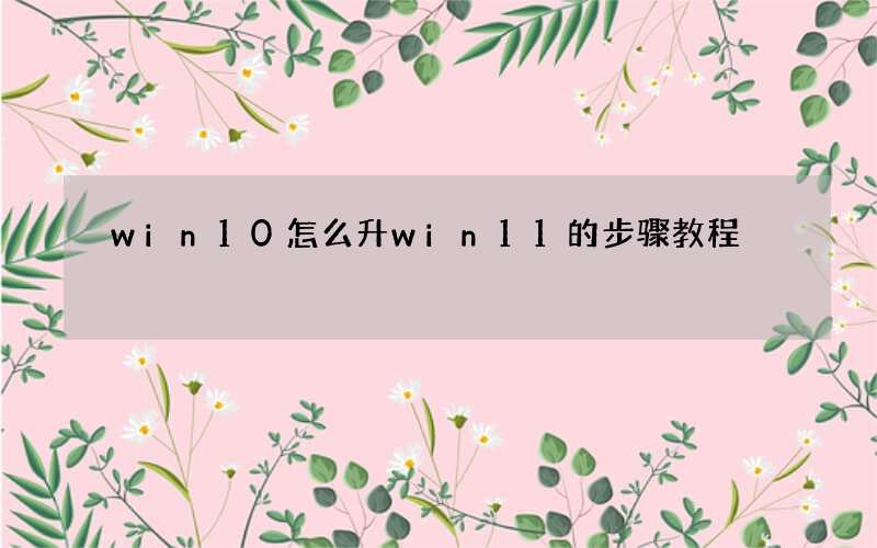 win10怎么升win11的步骤教程