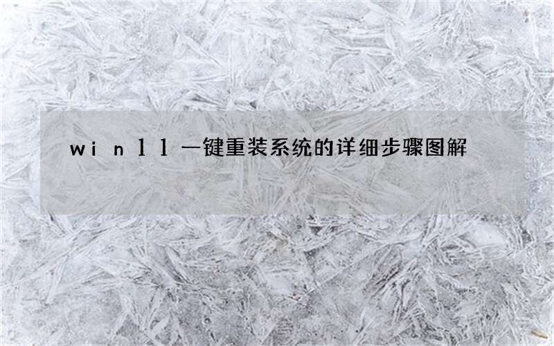 win11一键重装系统的详细步骤图解