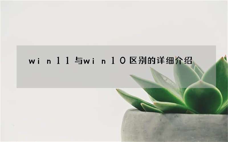 win11与win10区别的详细介绍