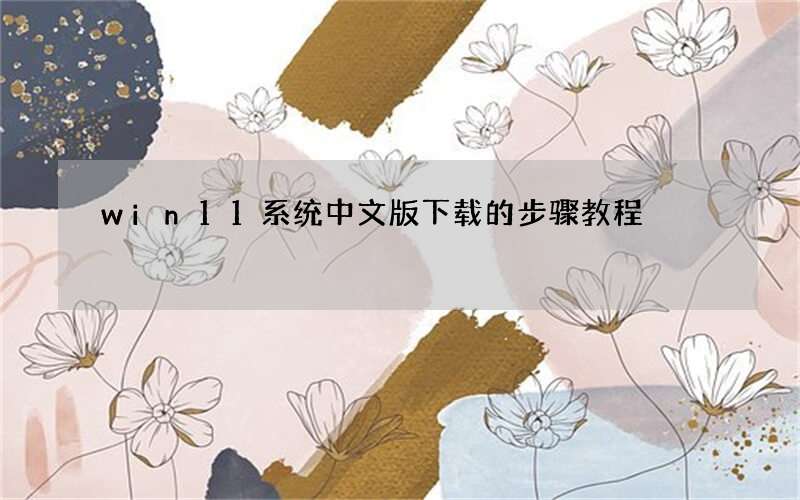 win11系统中文版下载的步骤教程
