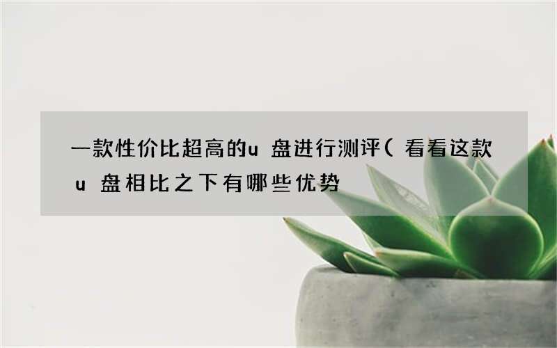 看看这款u盘相比之下有哪些优势 一款性价比超高的u盘进行测评
