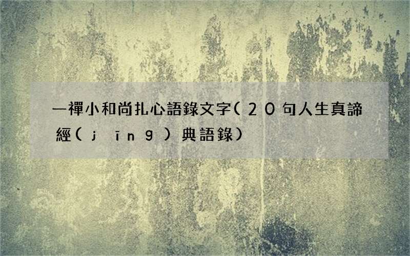 20句人生真諦經(jīng)典語錄 一禪小和尚扎心語錄文字