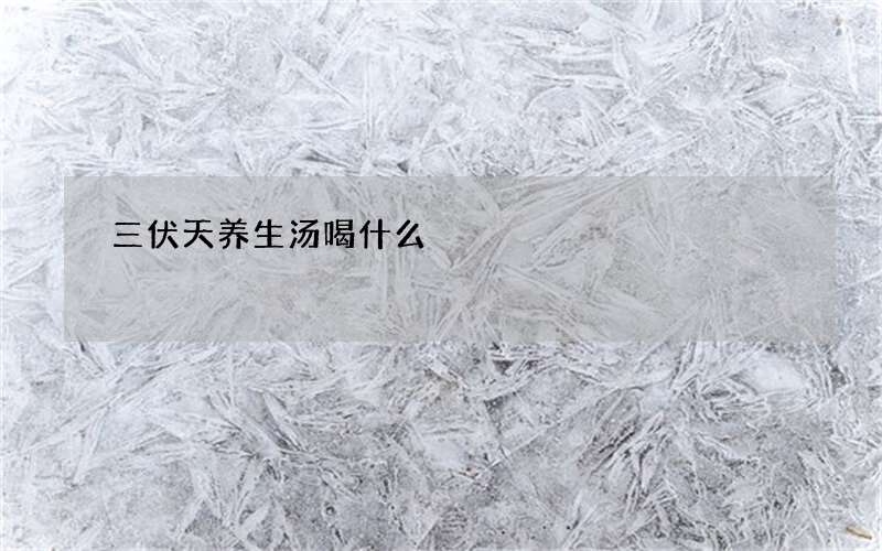 三伏天养生汤喝什么