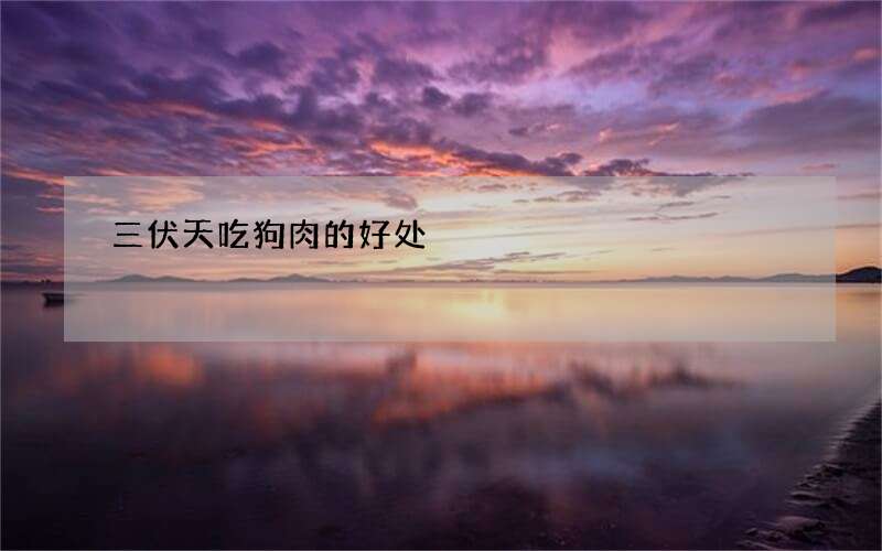三伏天吃狗肉的好处