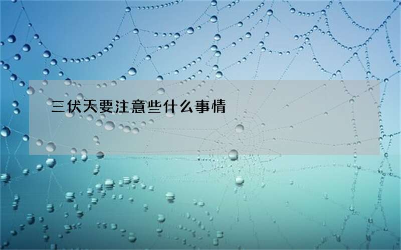 三伏天要注意些什么事情