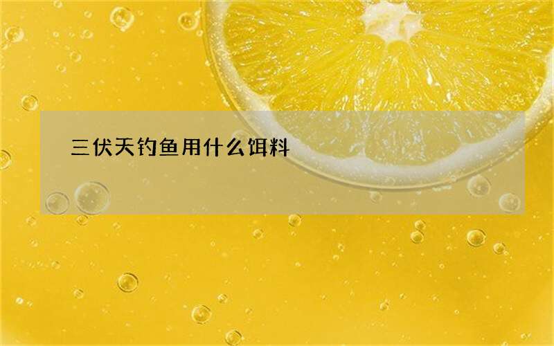 三伏天钓鱼用什么饵料