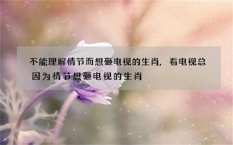 不能理解情节而想砸电视的生肖,看电视总因为情节想砸电视的生肖