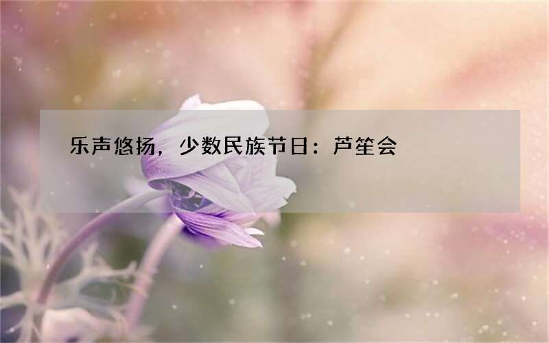 乐声悠扬，少数民族节日：芦笙会