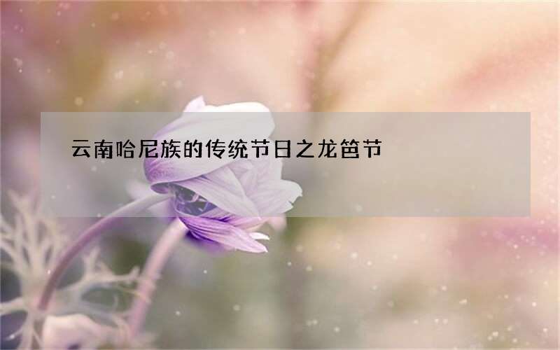 云南哈尼族的传统节日之龙笆节