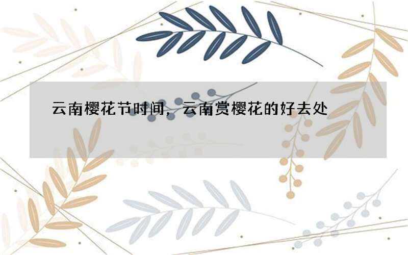 云南樱花节时间，云南赏樱花的好去处