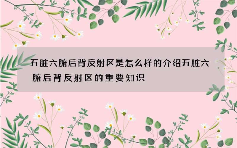 五脏六腑后背反射区是怎么样的 介绍五脏六腑后背反射区的重要知识