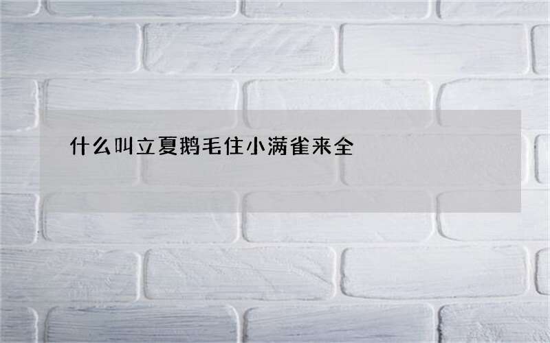 什么叫立夏鹅毛住小满雀来全