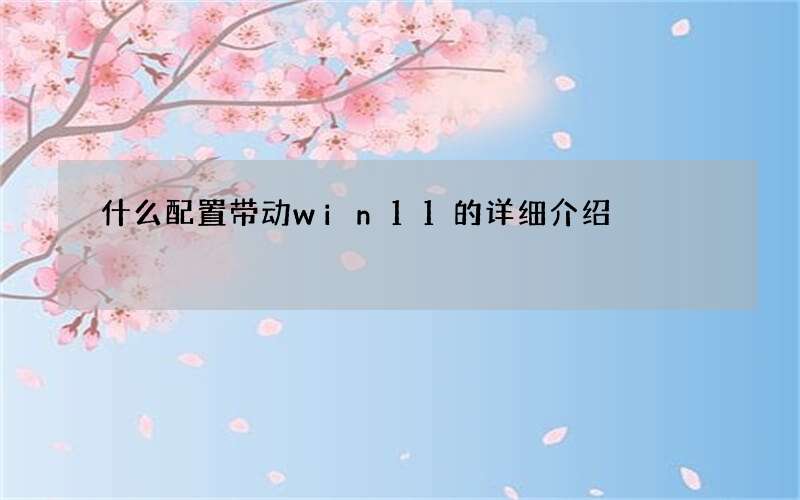 什么配置带动win11的详细介绍