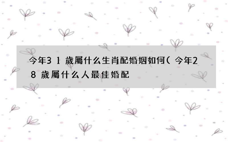今年28歲屬什么人最佳婚配 今年31歲屬什么生肖配婚姻如何