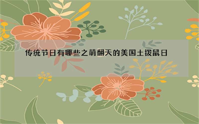 传统节日有哪些之萌翻天的美国土拨鼠日