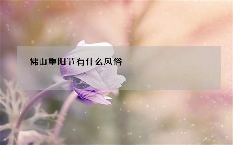 佛山重阳节有什么风俗