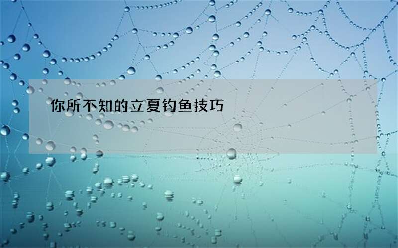 你所不知的立夏钓鱼技巧