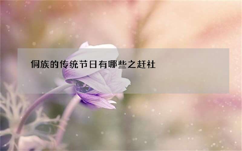 侗族的传统节日有哪些之赶社