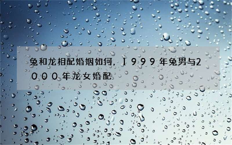 兔和龙相配婚姻如何，1999年兔男与2000年龙女婚配