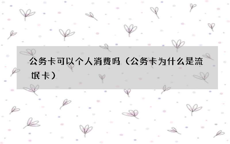公务卡 为什么是流氓卡 公务卡可以个人消费吗