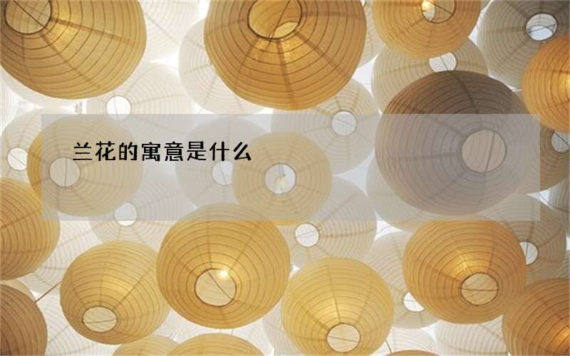 兰花的寓意是什么