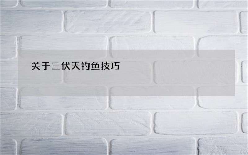 关于三伏天钓鱼技巧