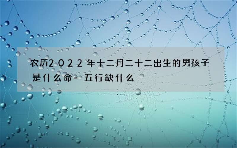 农历2022年十二月二十二出生的男孩子是什么命-五行缺什么