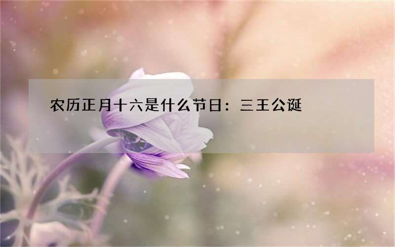 农历正月十六是什么节日：三王公诞