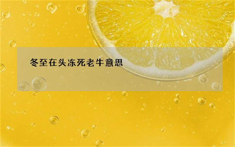 冬至在头冻死老牛意思