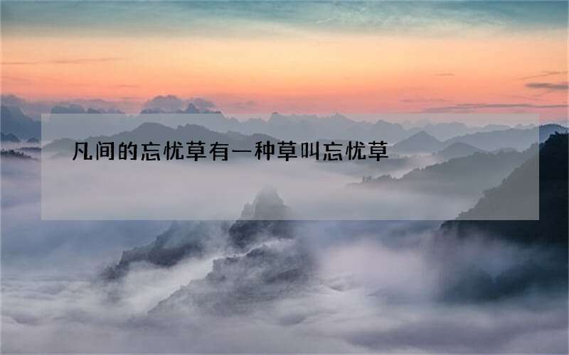 凡间的忘忧草 有一种草叫忘忧草