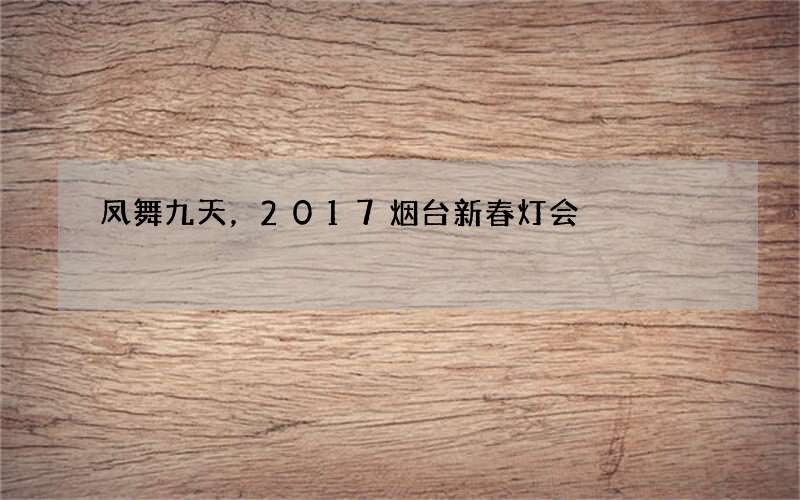 凤舞九天，2017烟台新春灯会