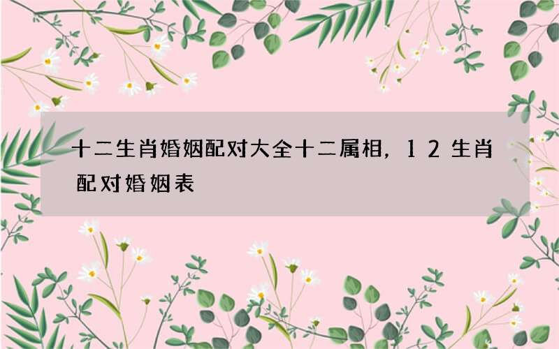 十二生肖婚姻配对大全十二属相，12生肖配对婚姻表