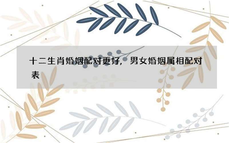 十二生肖婚姻配对更好,男女婚姻属相配对表