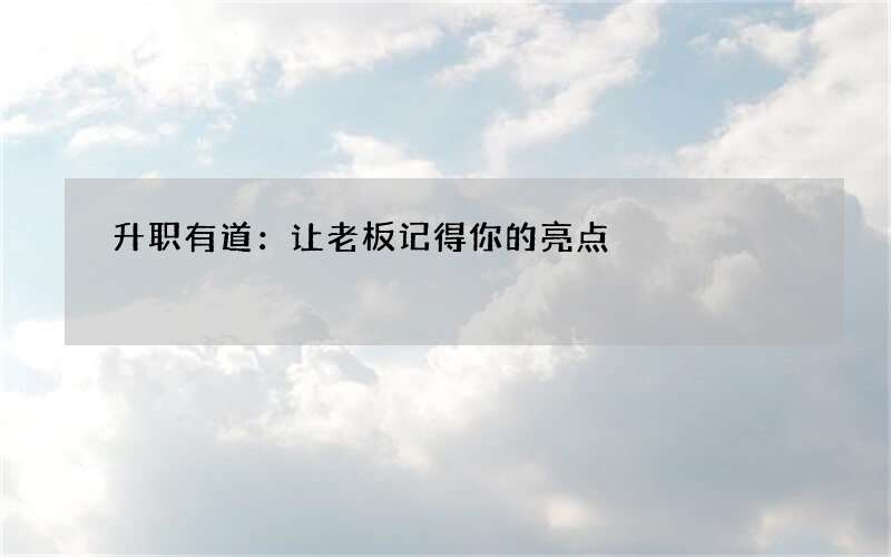 升职有道：让老板记得你的亮点